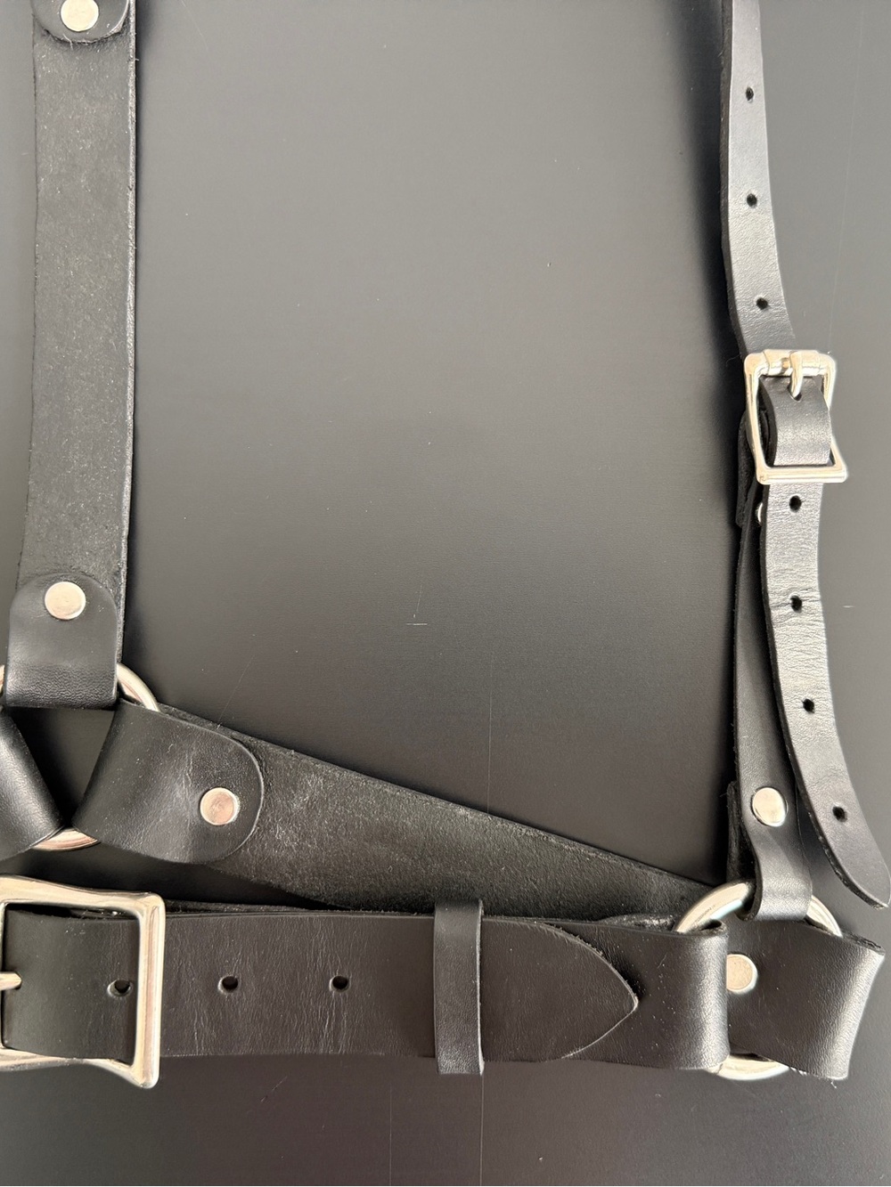 ZANA BAYNE - Signature Harness SIZE M - Black Leather Harness - Picture 3 of 7